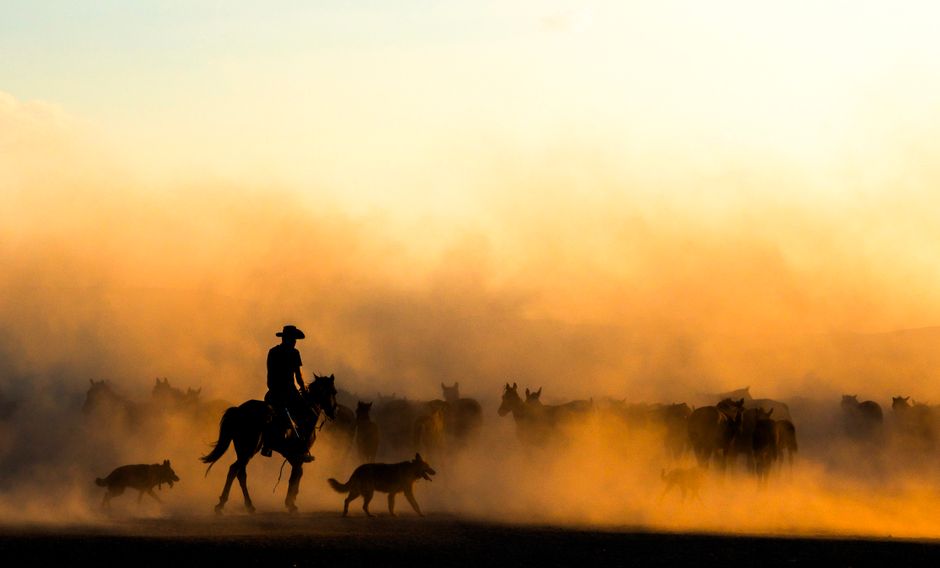 Texas plains at dusk with cattle drive dust